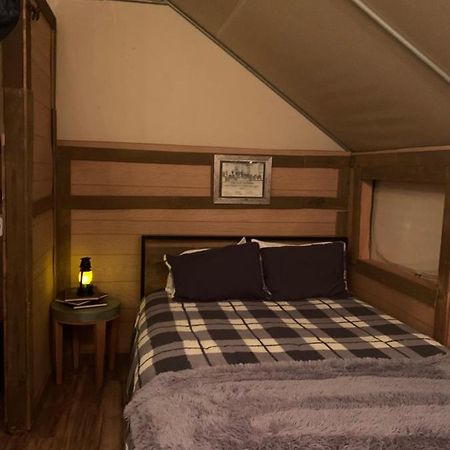 Silver Spur Homestead Тумстон Экстерьер фото